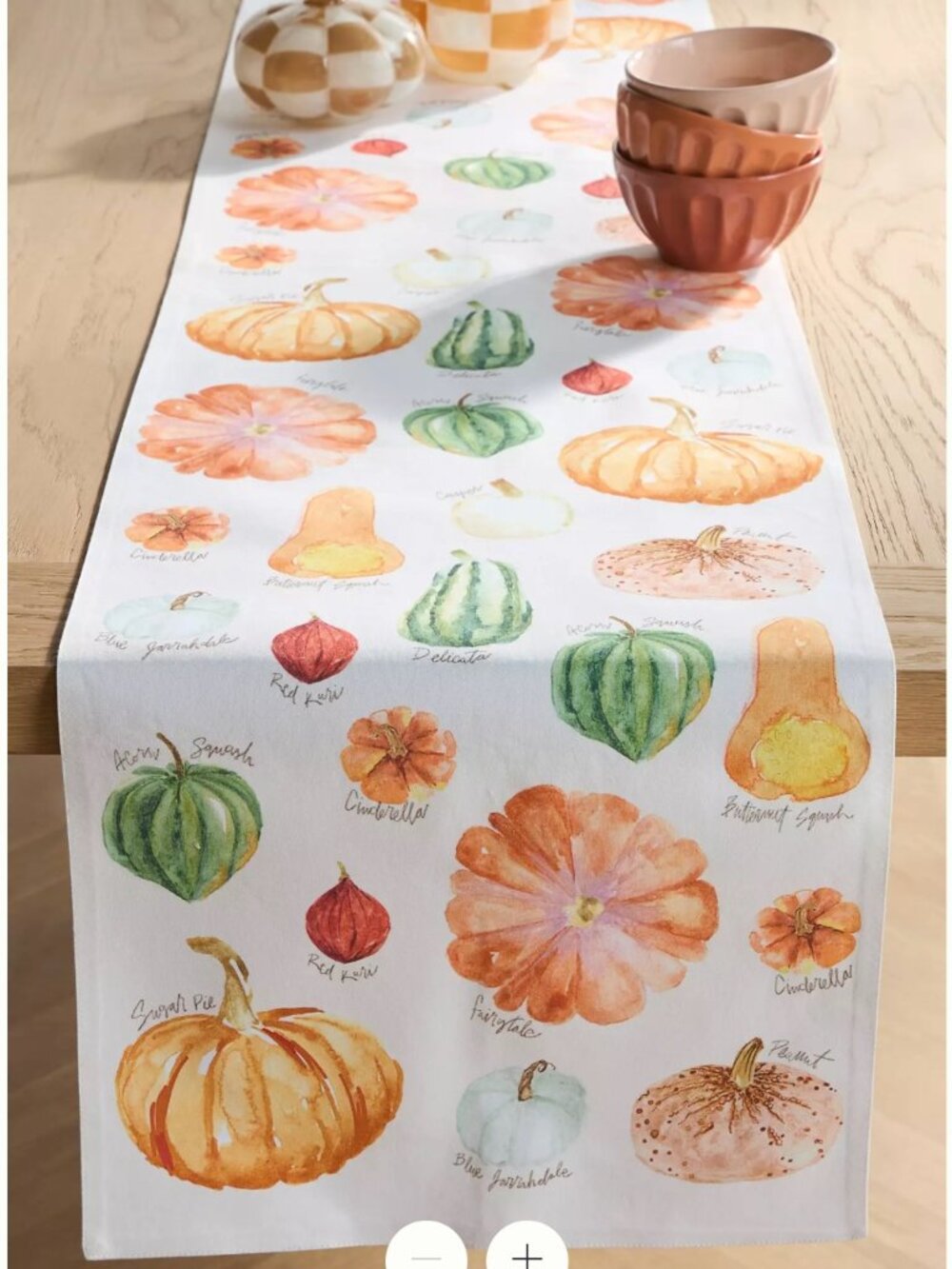 Anthropologie Types of Pumpkin Squash Table Runner- New